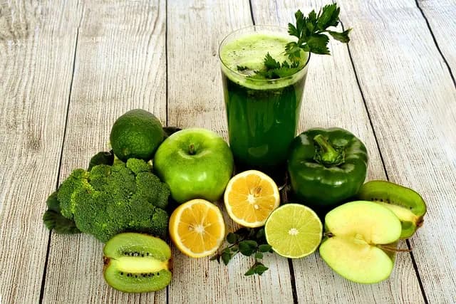 Exploring Plant-Based Proteins: The Best Sources for Vegans