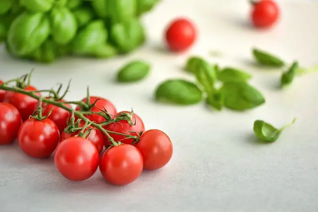 10 Essential Tips for a Successful Vegan Transition