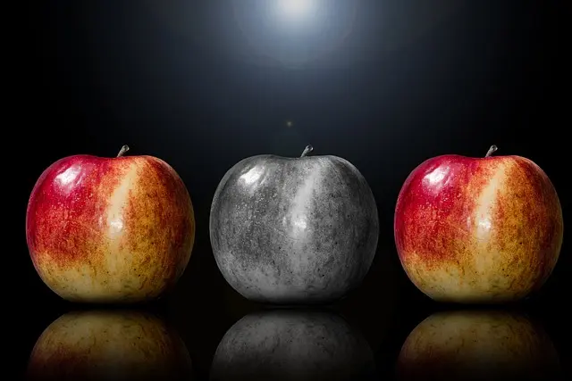 How to Embrace Seasonal Eating in Your Vegan Diet