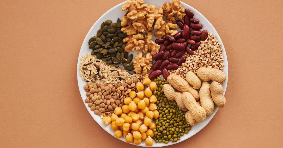 The Essential Guide to Vegan Protein Sources for Your Diet