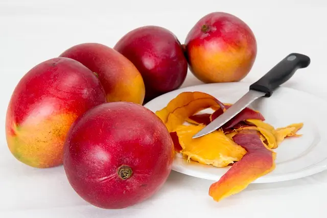 How to Start a Plant-Based Diet: A Comprehensive Guide