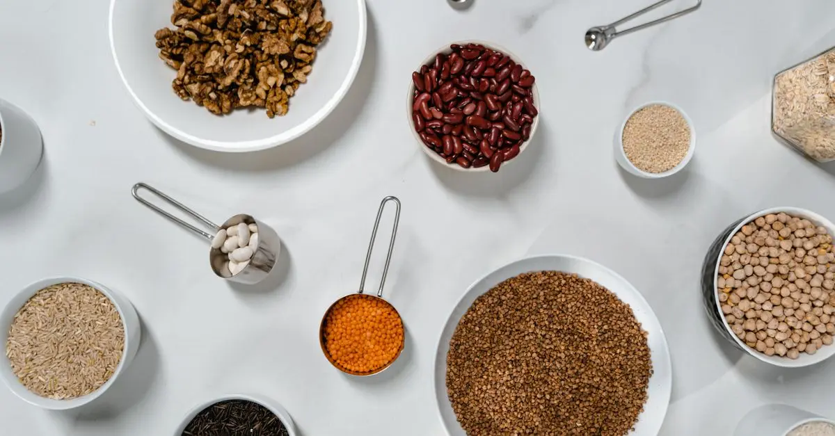 How to Choose the Best Vegan Protein Sources for Your Diet
