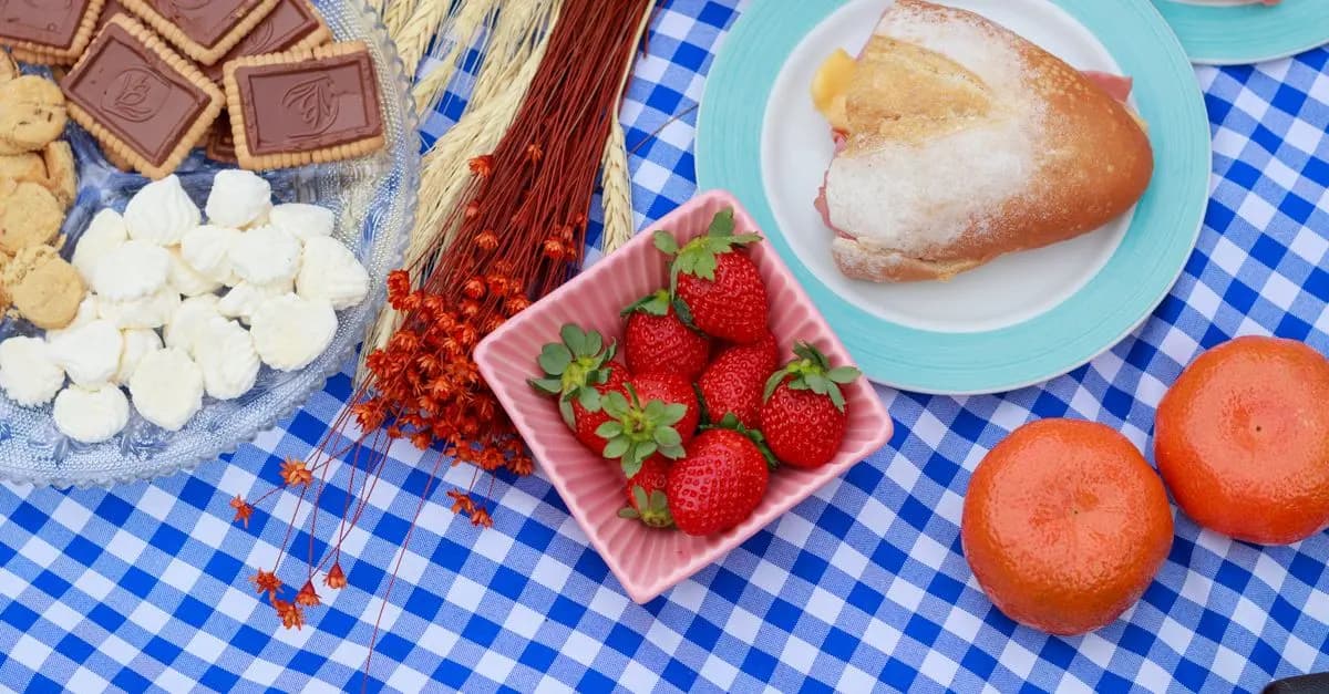 Planning a Vegan Picnic: What to Bring