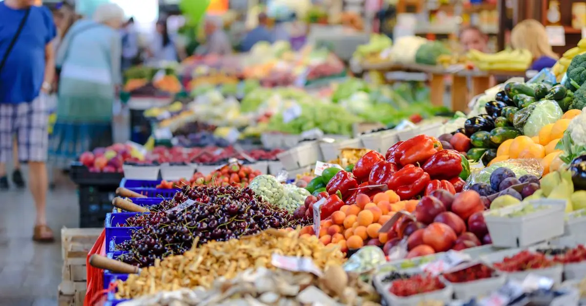 Exploring the Environmental Impact of Veganism