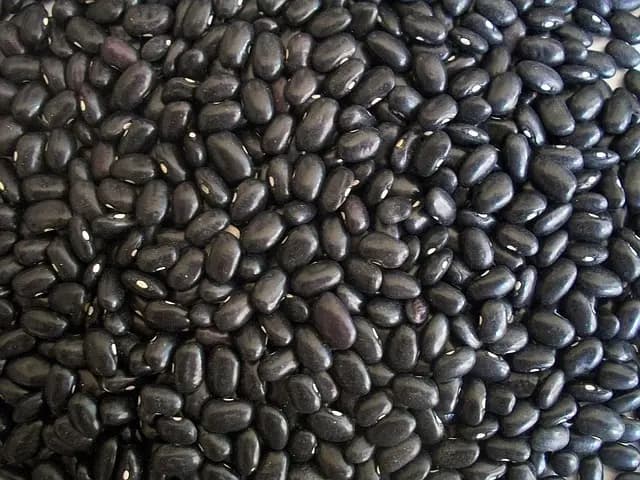 How to Build a Sustainable Vegan Pantry: Essential Ingredients