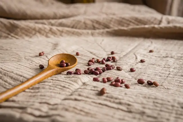 10 Essential Tips for Crafting a Vegan Meal Plan