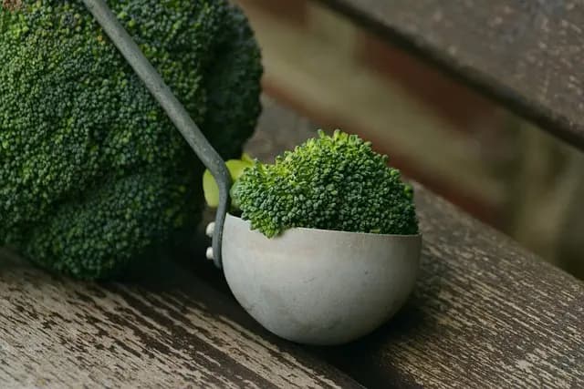 10 Vegan Meal Prep Ideas to Simplify Your Week