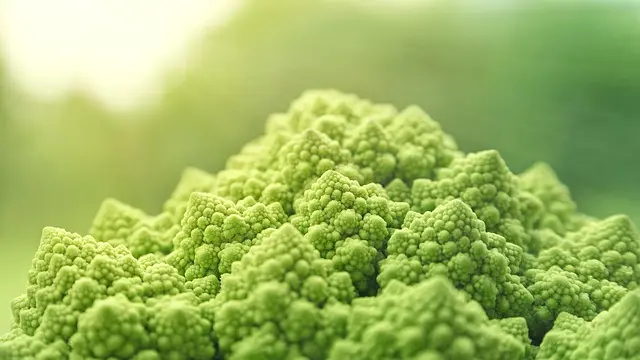 Top 10 Sustainable Vegan Practices for Everyday Living