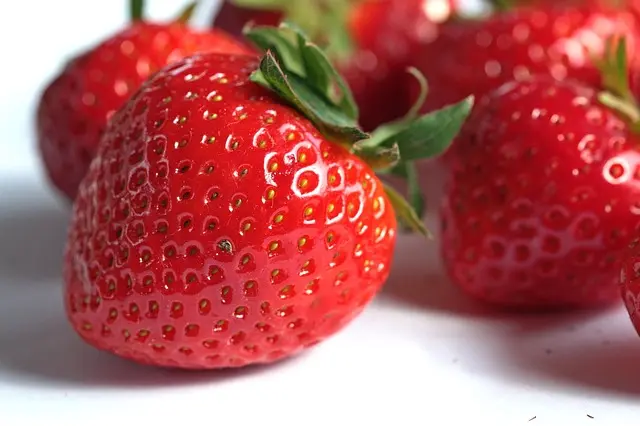 How to Transition to a Vegan Lifestyle: A Step-by-Step Guide