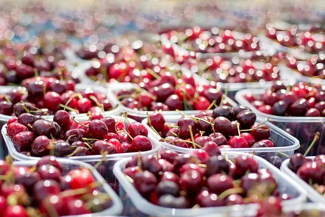 Exploring the Best Seasonal Ingredients for Vegan Meals