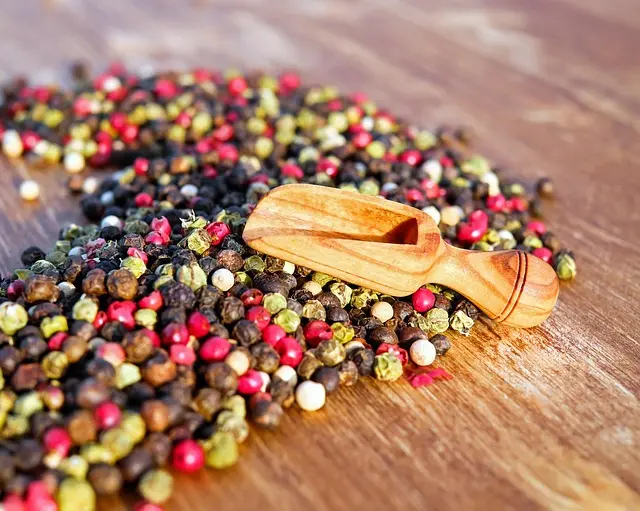 Exploring Vegan Cheese Alternatives: Which Is Best for You?