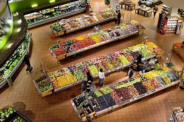 10 Essential Tips for a Smooth Transition to Veganism