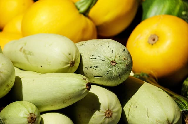 10 Essential Tips for a Sustainable Vegan Lifestyle