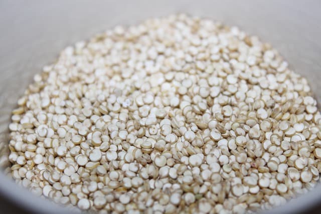 Exploring Plant-Based Proteins: The Best Sources for Vegans