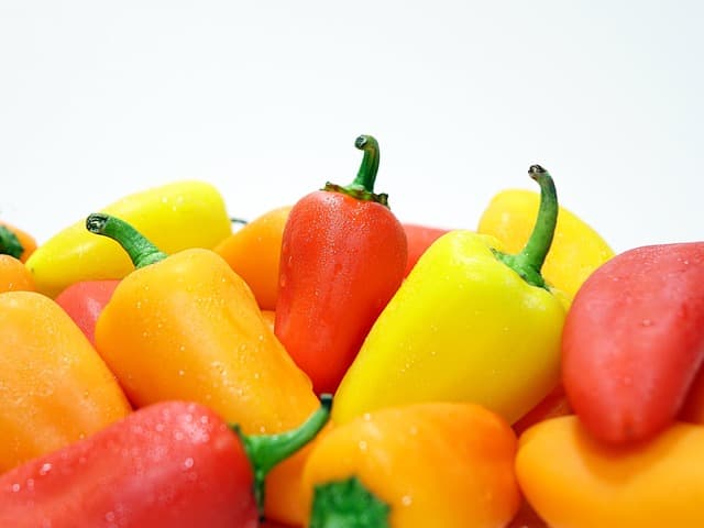 Vegan Lifestyle Tips: How to Embrace Plant-Based Living