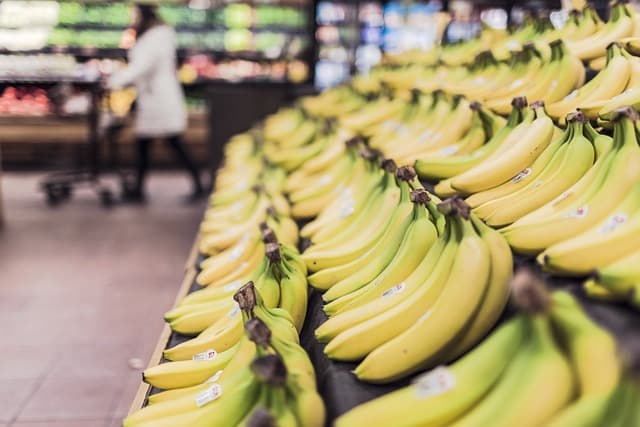 Essential Guide to Sustainable Vegan Practices