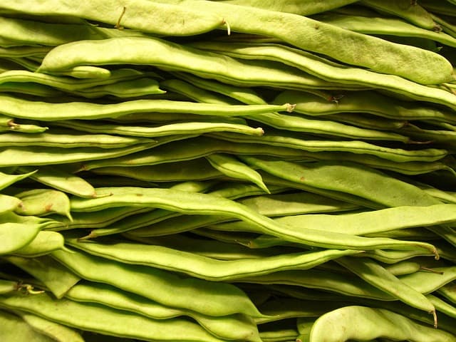 The Essential Guide to Vegan Cooking Techniques