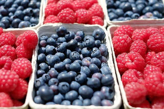 10 Essential Tips for a Sustainable Vegan Lifestyle