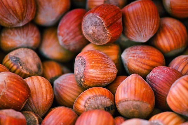 How to Choose the Best Vegan Snacks for Any Occasion