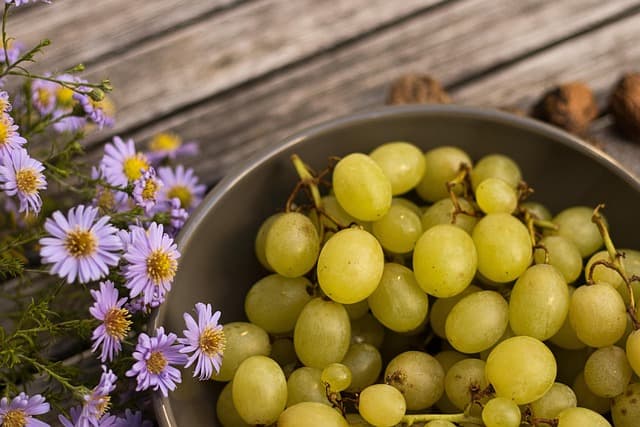 Exploring the Benefits of Seasonal Vegan Eating