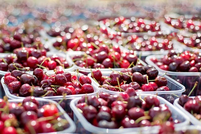 Top 10 Sustainable Vegan Practices for Everyday Living